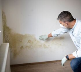 Does Homeowner Insurance Cover Mold?