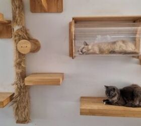 Nine Design Choices To Stimulate Your Cat’s Brain