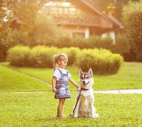 Credit: Shutterstock / Rock and Wasp