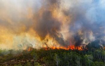 14 Ways To Prepare Your Home When Wildfires Are Close