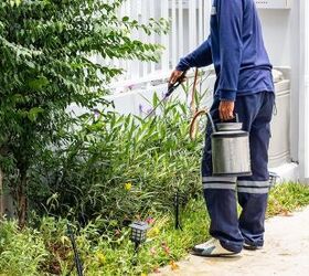 What Is The Best Time Of Year To Hire An Exterminator?