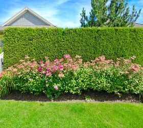 Budget-Friendly Ways To Give Your Home More Privacy