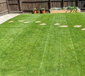 Nine Types Of Grass And What They Are Good For