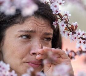 13 Creative Ways To Mitigate Spring Allergies In The Home