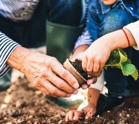 13 Spring Vegetable Garden Tips That Will Improve Your Summer Harvest