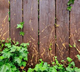 How To Permanently Get Rid Of Poison Ivy