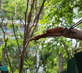 What To Do If A Branch Is On A Power Line