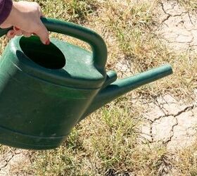 Why Won’t My Soil Absorb Water?