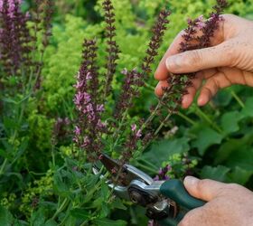 How To Stop Perennials From Spreading