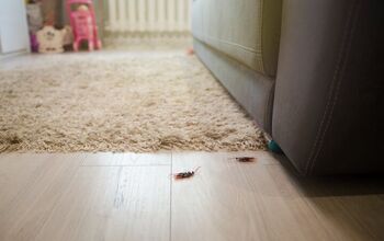 12 Household Products That Help Get Rid Of Roaches