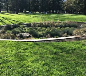 Six Reasons Your Swale Isn’t Draining (And How To Fix)