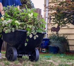 How To Control Pests Without Pesticides