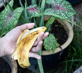 Household Products That Double As Plant Food