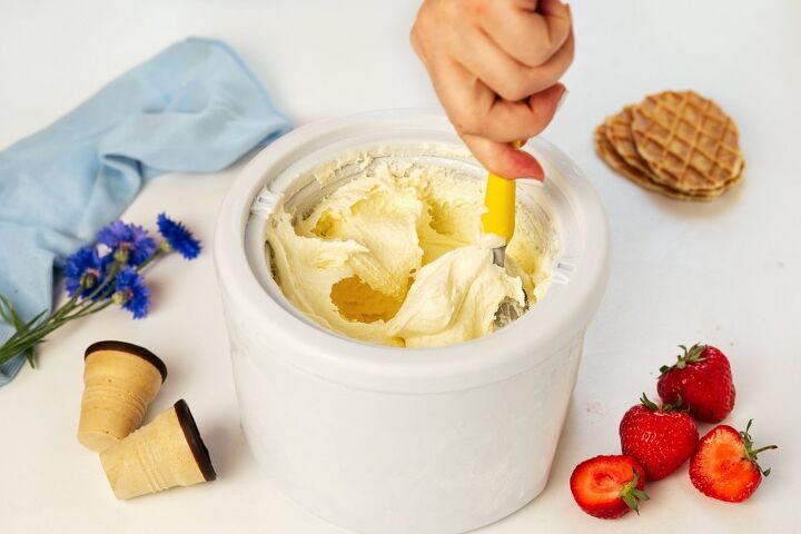 Credit: Shutterstock / Kattecat