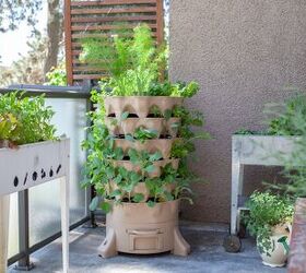 Top Tips For Gardening With Limited Space