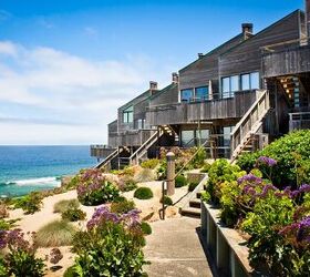 15 Great Plants To Grow Near The Ocean
