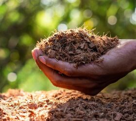 13 Top Uses For Coconut Coir And Husk In Your Yard