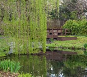 Best Plants For Flood-Prone Yards