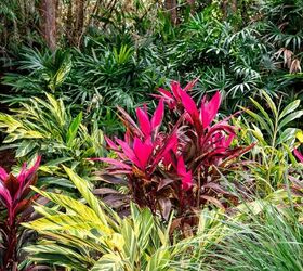 Five Benefits Of Growing Native Plants