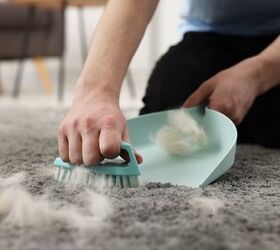 13 Easy Ways To Reduce The Amount Of Pet Hair In Your Home