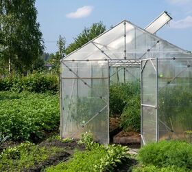 How To Prevent Mold In A Greenhouse