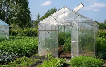 How To Prevent Mold In A Greenhouse