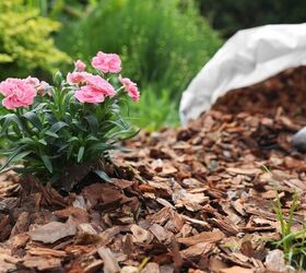 Organic Versus Regular Mulch