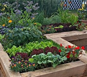 Top Tips For Growing Plants In Raised Beds