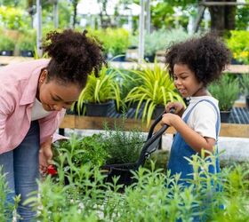 What To Look For When You Buy New Plants
