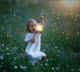 How To Make Your Yard Firefly-Friendly