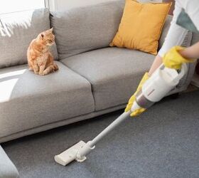 Home Maintenance Checklist For Cat Owners