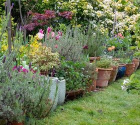 How To Downsize Your Garden
