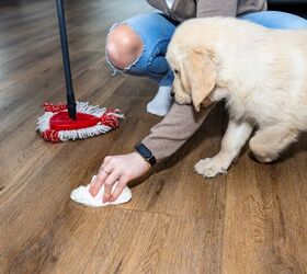 How To Clean Pet Damage Before Moving