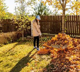 Is it Better To Pick Up Leaves Or Keep Them On The Ground?