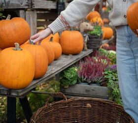 Tips For Picking The Perfect Pumpkins And Squash This Fall