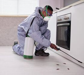 Why Are There Still Roaches After Extermination?