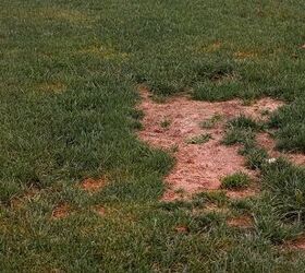 Six Signs Of Soil Erosion