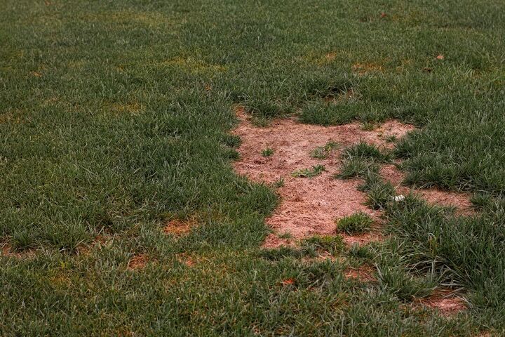 Six Signs Of Soil Erosion | Upgradedhome.com