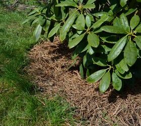 DIY Mulch Ideas For Your Fall Garden