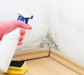Is It Dangerous To Scrub Mold?