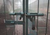 How To Burglar-Proof A Greenhouse