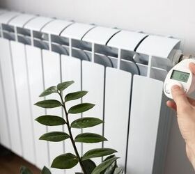 Credit: Shutterstock / Andrii Kozak