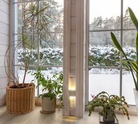 How To Keep Indoor Plants Alive And Thriving In The Winter
