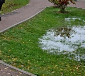 How To Tell If Your Garden Soil Is Compacted