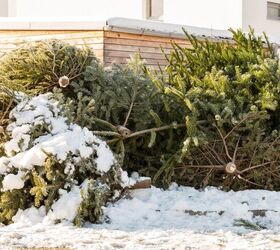 Dos And Don’ts When Getting Rid Of A Christmas Tree