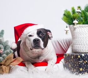 Credit: Shutterstock / svetlana-81