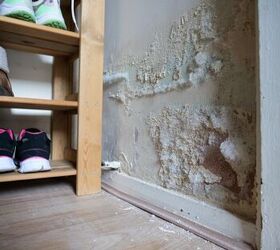 How To Prevent Mold In A Closet