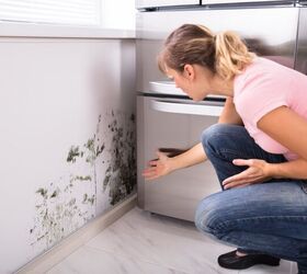 Eleven Signs Of Mold In The House