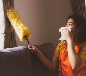 What Attracts Dust Mites?