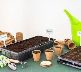 What To Purchase In March For A Spring Garden